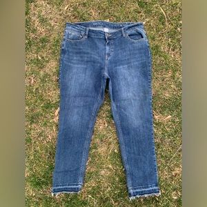 •Westport•(Dress Barn)•Ankle Jeans•Size 16•Raw Edge•Stretchy